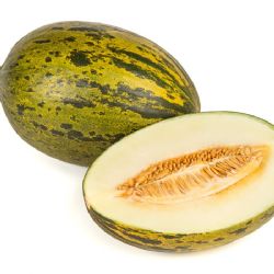 מלון חרבוזה