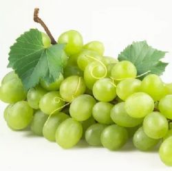 ענבי ירוקים