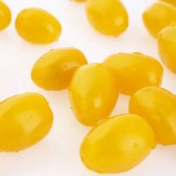 עגבניות שרי צהוב