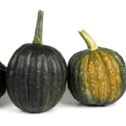 דלעת ערמונים