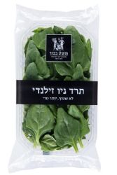 תרד ניו זינלנדי