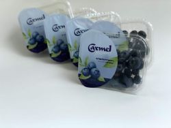 אוכמניות כרמל