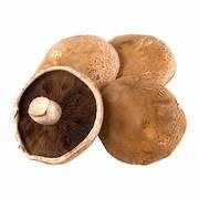 מגה פורטובלו