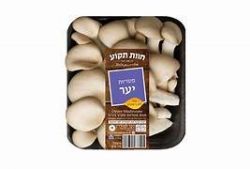 פטריות יער