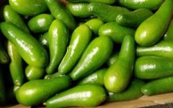 אבוקדו אטינגר