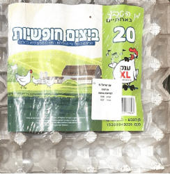 20ביצי חופש XL