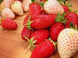 מבצע 2 חבילות תותים