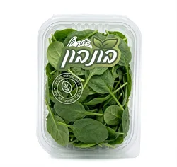 תרד ניו זינלנדי