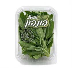 מרווה