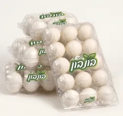 15 ביצים XL