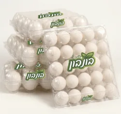 30ביצים XL