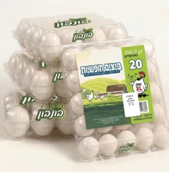 20ביצי חופש XL