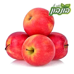 פינק ליידי יבוא
